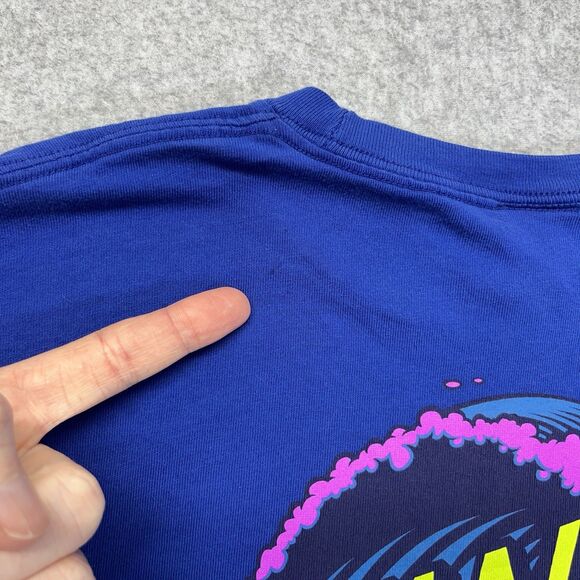 Santa Cruz T-Shirt Men’s Large Blue Ombre Front Back Graphic Skatewear - Picture 13 of 14